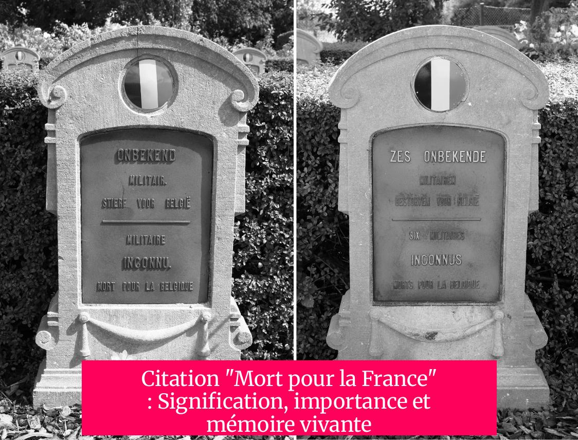 Citation "Mort pour la France" : Signification, importance et mémoire vivante
