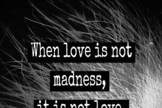 La Philosophie de Nietzsche sur l'Amour et la Folie : Entre Passion et Raison