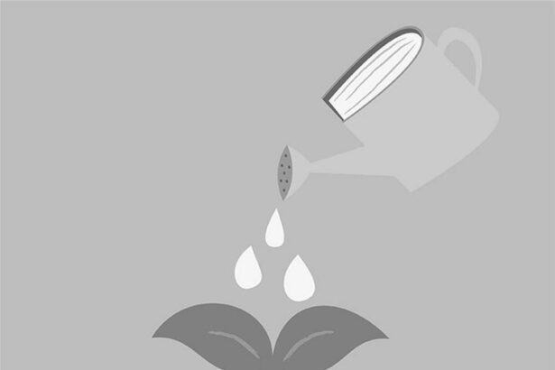 Nourrir son esprit : citations et clés pour un bien-être intellectuel durable