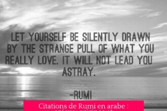 Citations de Rumi en arabe : enjeux, origines et témoignages inspirants