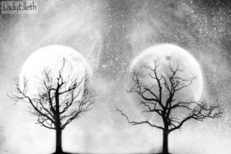 Citations sur le Soleil et l'Amour : Une Voie Lumineuse entre Poésie et Émotions