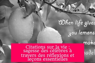 Citations sur la vie : sagesse des célèbres à travers des réflexions et leçons essentielles