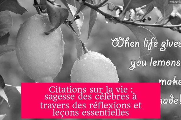 Citations sur la vie : sagesse des célèbres à travers des réflexions et leçons essentielles