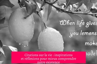 Citations sur la vie : inspirations et réflexions pour mieux comprendre notre existence