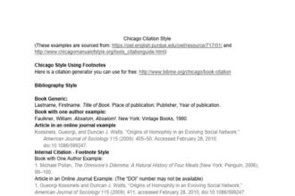 Guide pratique de citation UdeM Chicago : astuces et ressources essentielles