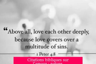 Citations bibliques sur l'amour : nature, commandements et impact sur les relations humaines