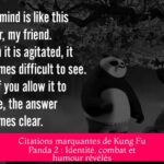 Citations marquantes de Kung Fu Panda 2 : Identité, combat et humour révélés
