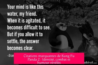 Citations marquantes de Kung Fu Panda 2 : Identité, combat et humour révélés
