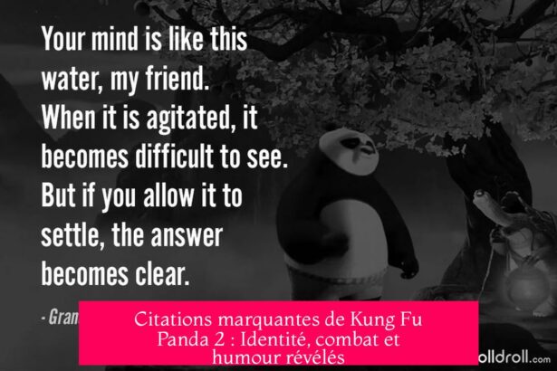 Citations marquantes de Kung Fu Panda 2 : Identité, combat et humour révélés