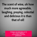 Citations de Rabelais sur le vin : entre sagesse, convivialité et vérités profondes