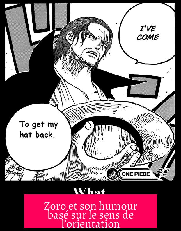Zoro et son humour basé sur le sens de l’orientation