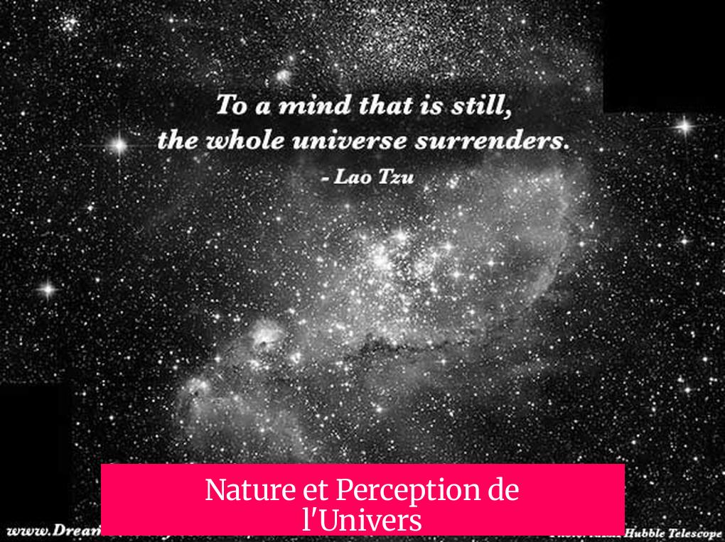 Nature et Perception de l'Univers