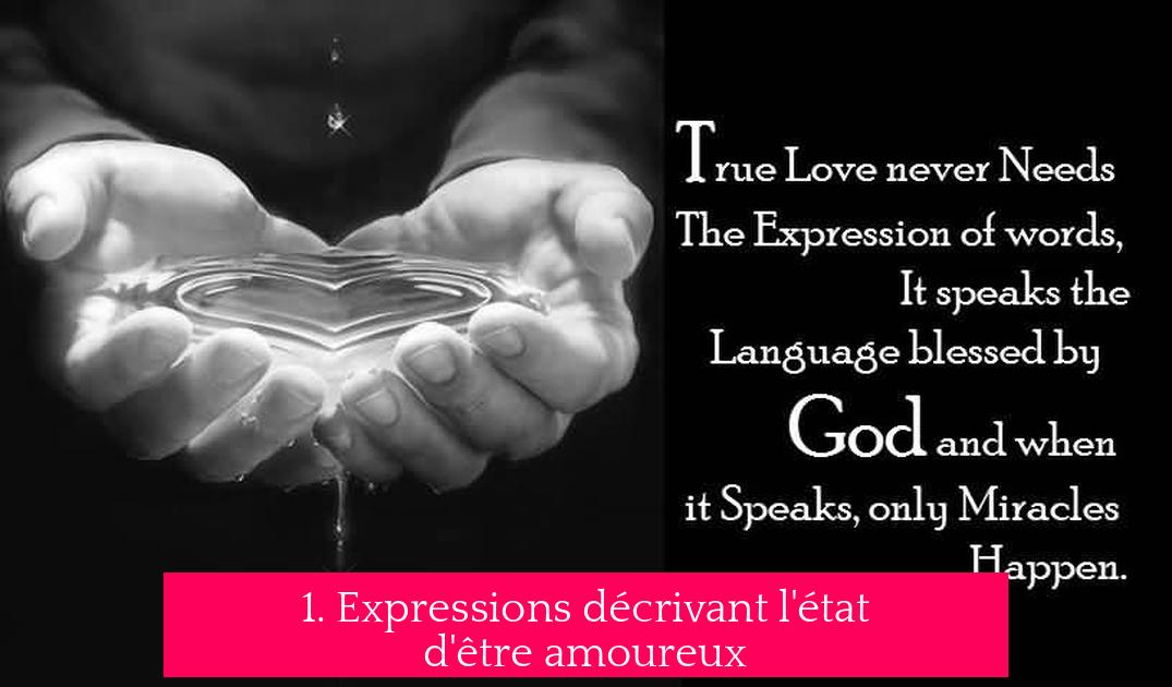 1. Expressions décrivant l'état d'être amoureux