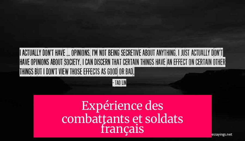 Expérience des combattants et soldats français