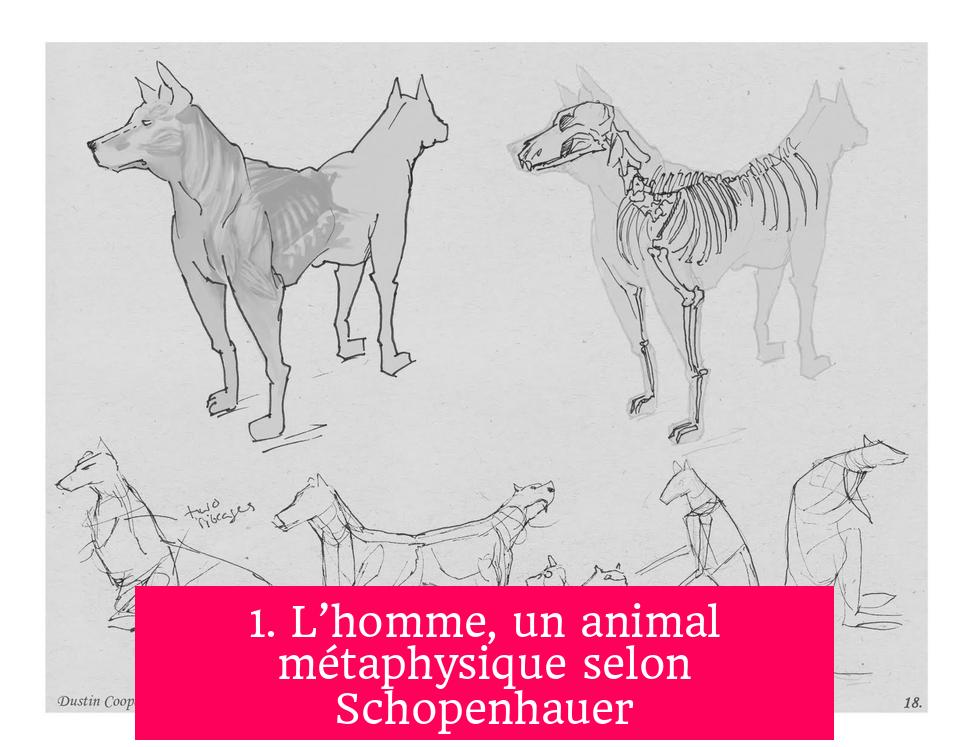 1. L’homme, un animal métaphysique selon Schopenhauer