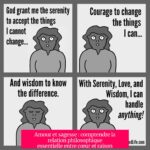 Amour et sagesse : comprendre la relation philosophique essentielle entre cœur et raison