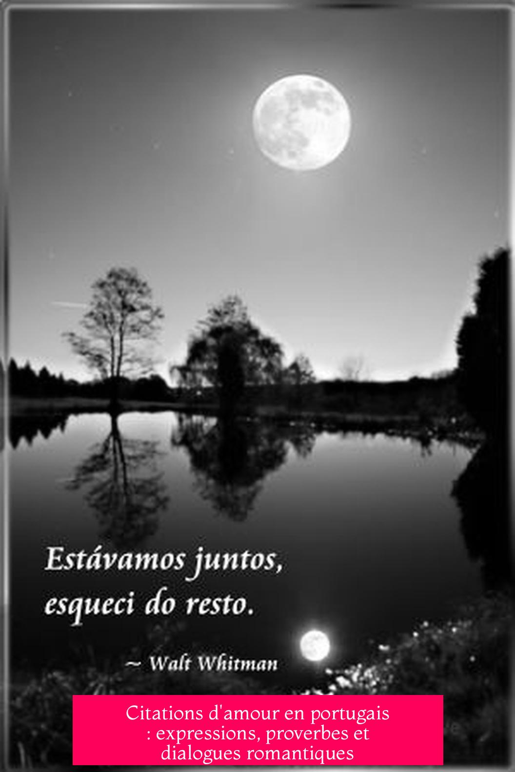 Citations d'amour en portugais : expressions, proverbes et dialogues romantiques