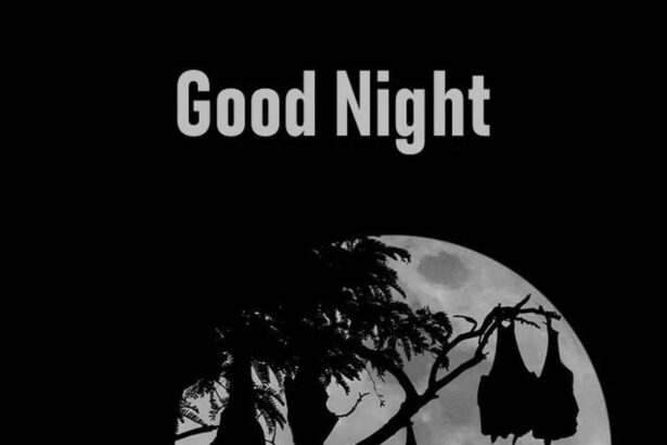 Citations bonne nuit positives pour apaiser l'esprit et inspirer des rêves sereins