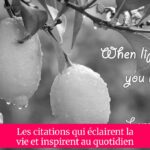 Les citations qui éclairent la vie et inspirent au quotidien