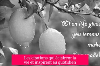 Les citations qui éclairent la vie et inspirent au quotidien