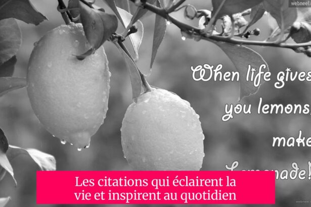Les citations qui éclairent la vie et inspirent au quotidien