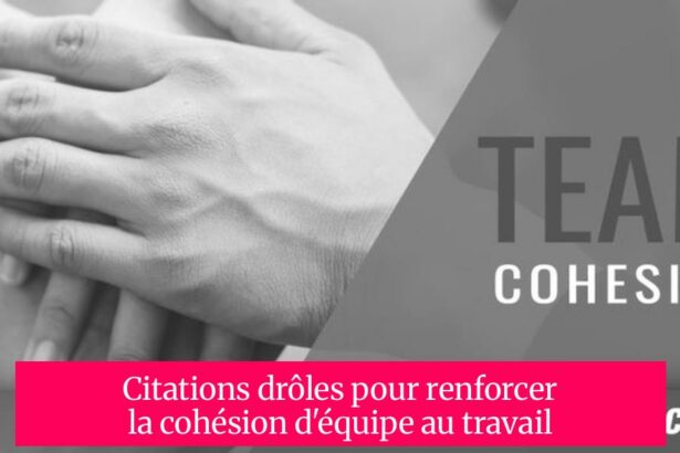 Citations drôles pour renforcer la cohésion d'équipe au travail