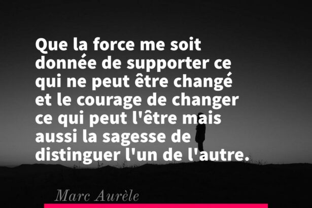 Marc Aurèle : La Force et la Sagesse pour un Équilibre de Vie