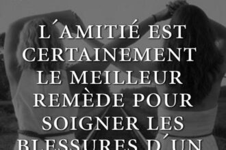 Citations sur l'amitié et la confiance : clés pour des relations durables et inspirantes