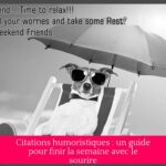 Citations humoristiques : un guide pour finir la semaine avec le sourire