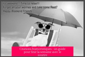 Citations humoristiques : un guide pour finir la semaine avec le sourire