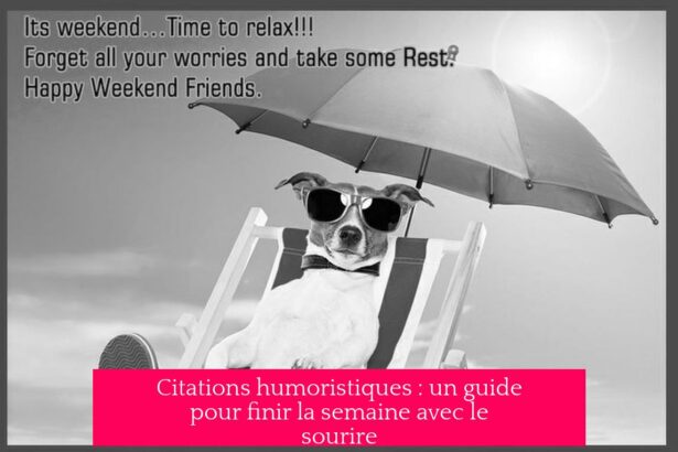 Citations humoristiques : un guide pour finir la semaine avec le sourire