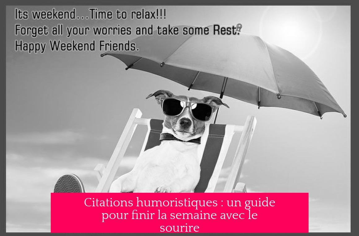 Citations humoristiques : un guide pour finir la semaine avec le sourire