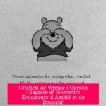 Citation de Winnie l'Ourson : Sagesse et Souvenirs Évocateurs d'Amitié et de Douceur