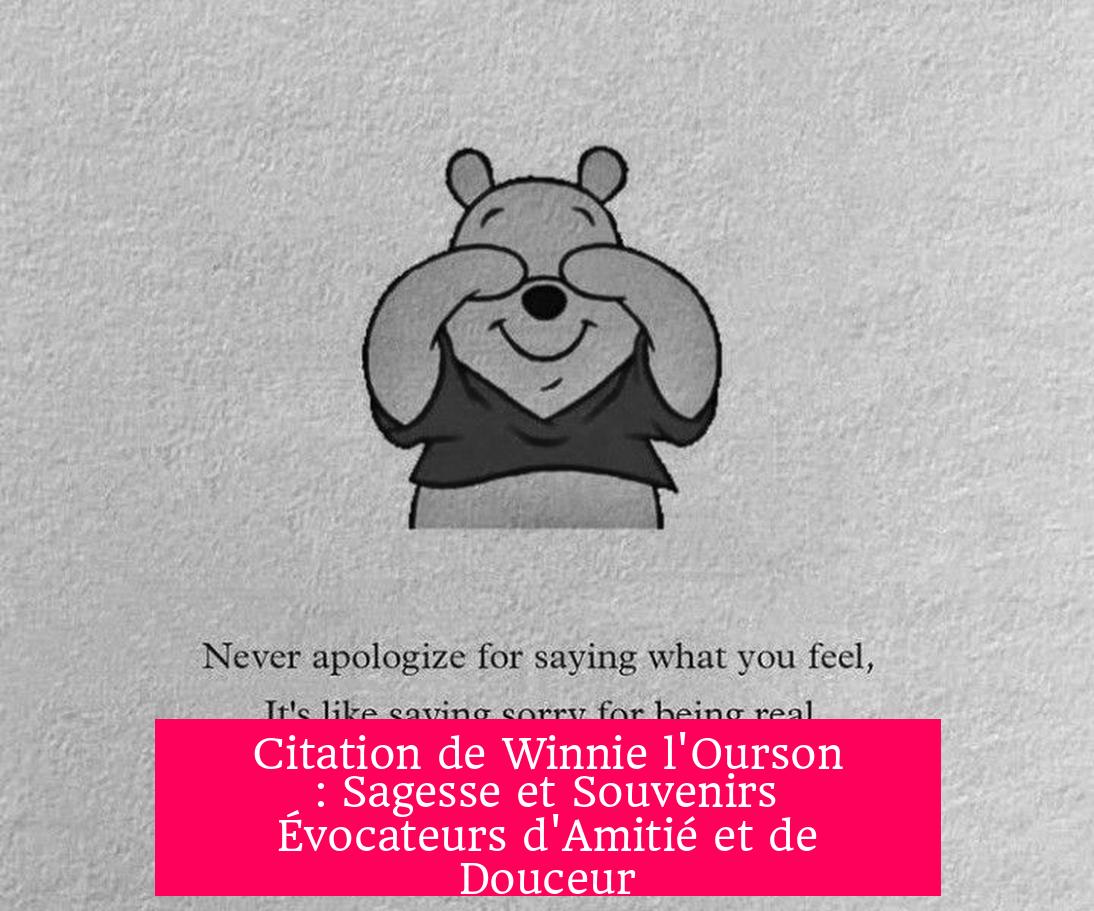 Citation de Winnie l'Ourson : Sagesse et Souvenirs Évocateurs d'Amitié et de Douceur