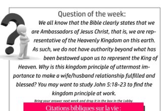 Citations bibliques sur la vie : réflexions et enseignements pour une existence épanouie