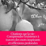 Citations sur la vie : Comprendre l'existence à travers des mots inspirants et réflexions profondes