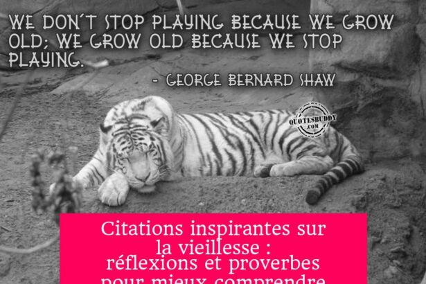 Citations inspirantes sur la vieillesse : réflexions et proverbes pour mieux comprendre l'âge