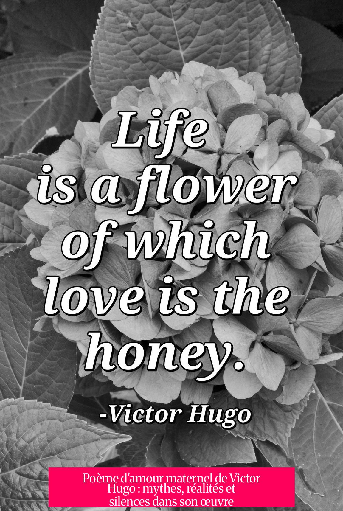 Poème d'amour maternel de Victor Hugo : mythes, réalités et silences dans son œuvre