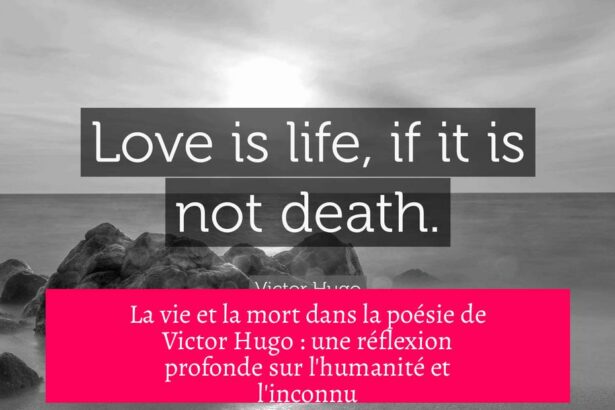 La vie et la mort dans la poésie de Victor Hugo : une réflexion profonde sur l'humanité et l'inconnu
