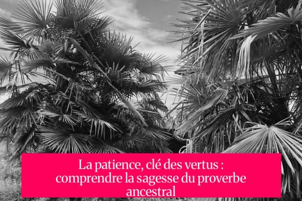 La patience, clé des vertus : comprendre la sagesse du proverbe ancestral