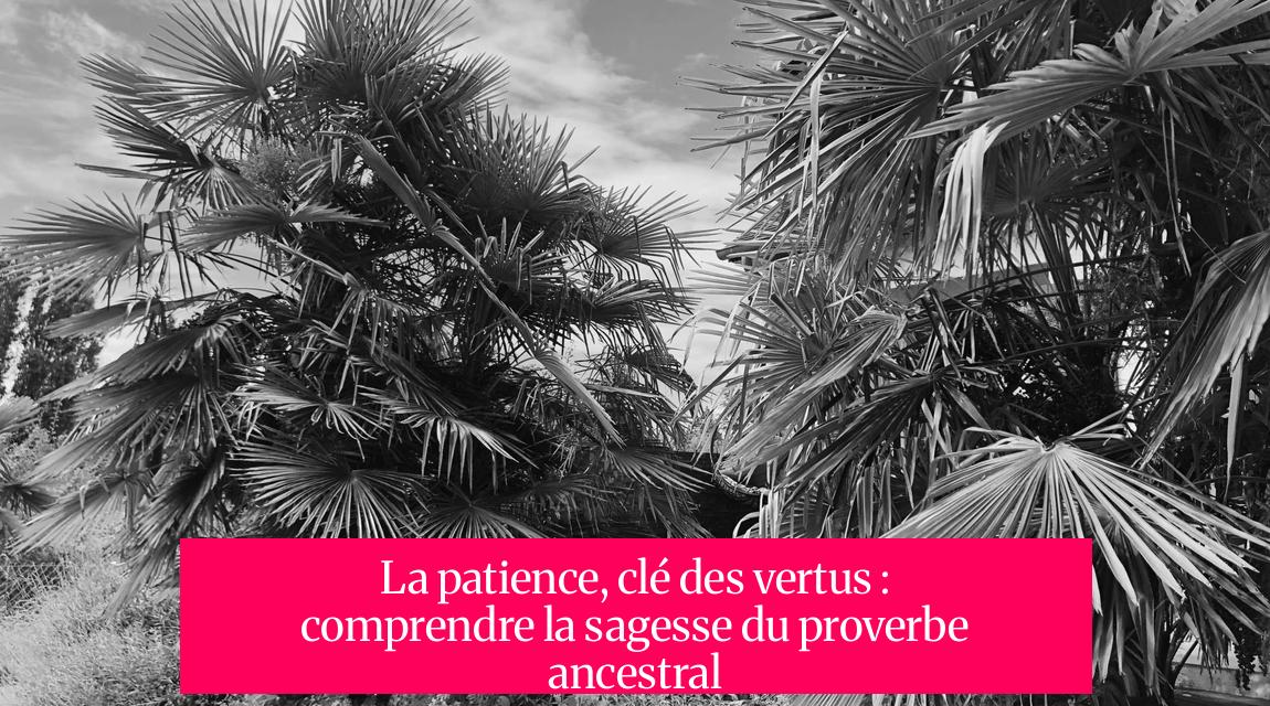 La patience, clé des vertus : comprendre la sagesse du proverbe ancestral