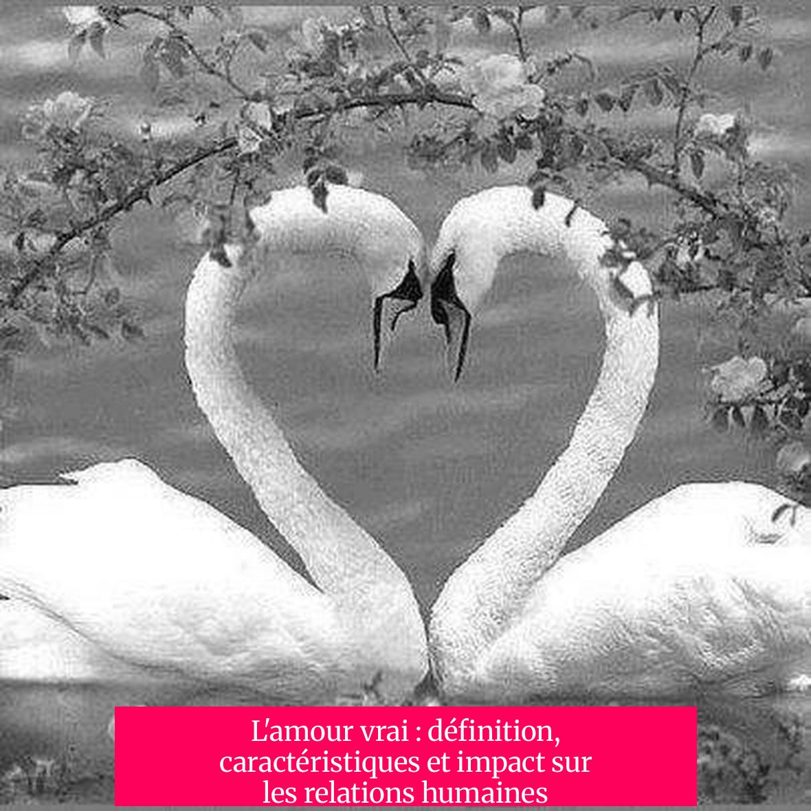 L'amour vrai : définition, caractéristiques et impact sur les relations humaines