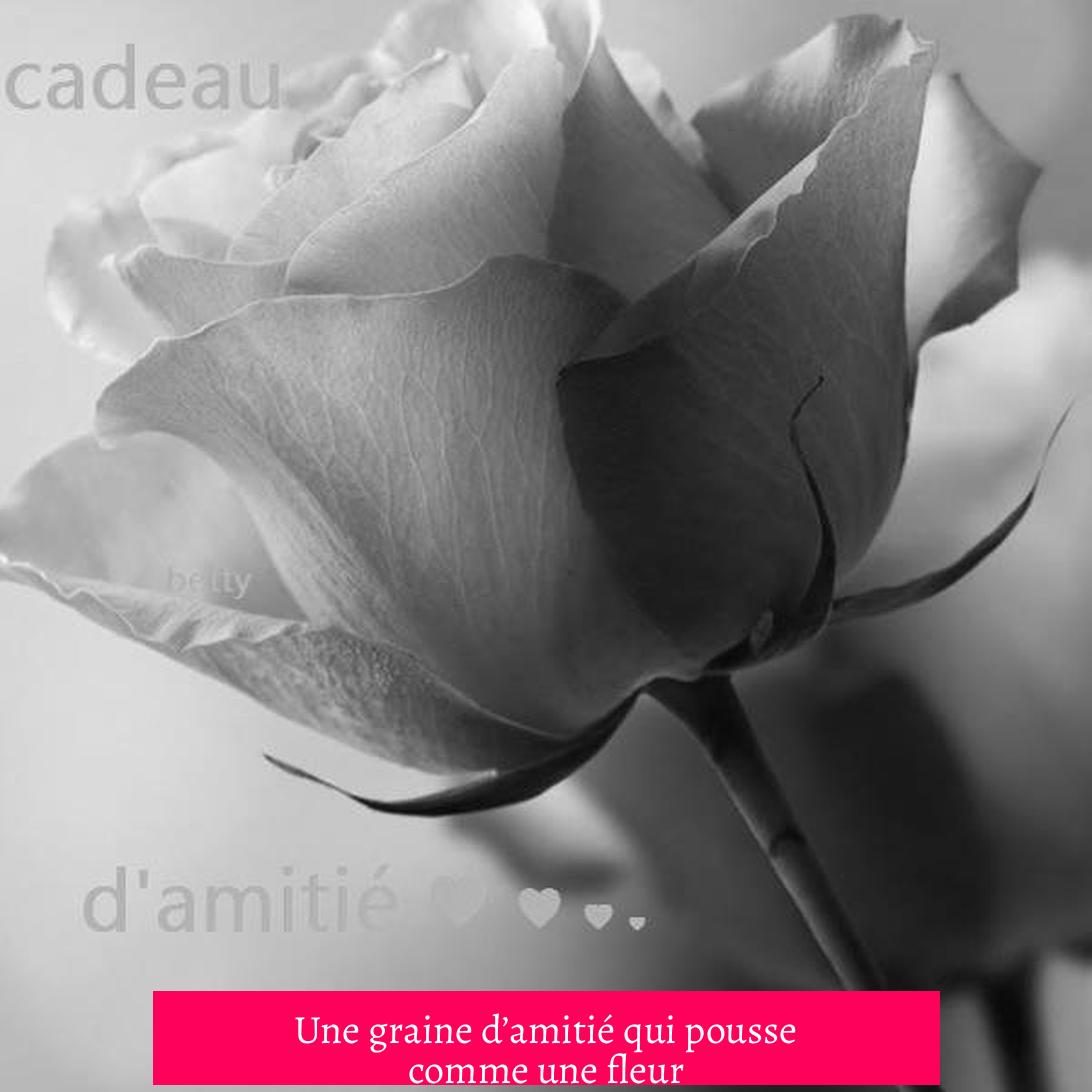 Une graine d’amitié qui pousse comme une fleur