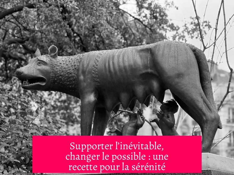 Supporter l’inévitable, changer le possible : une recette pour la sérénité ?