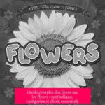 Guide complet des livres sur les fleurs : symbolique, catégories et choix essentiels